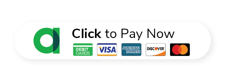 Pay now with major credit cards button.